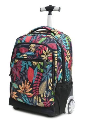 School backpack with wheel