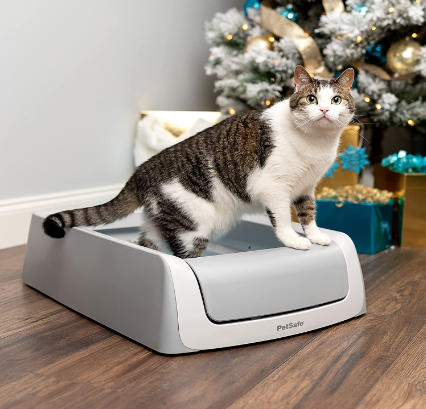 Top & Best Litter box Review 2021 – How to Select Ultimate Buyer’s Guide