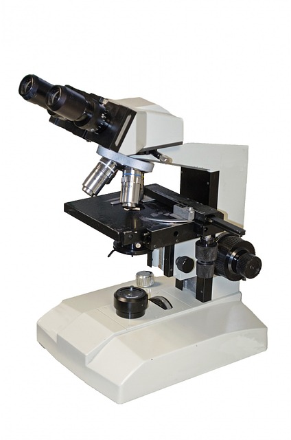 Top & Best Microscope Review 2021- How to Select Ultimate Buyer’s Guide