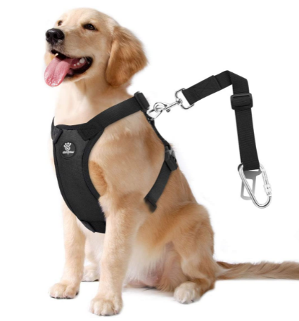 Top & Best Dog seat belt Review 2021 – How to Select Ultimate Buyer’s Guide