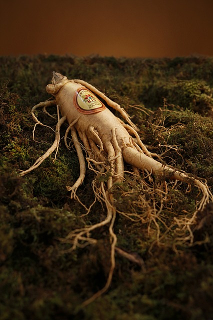 Top & Best Ginseng: Review 2021 – How to Select Ultimate Buyer’s Guide