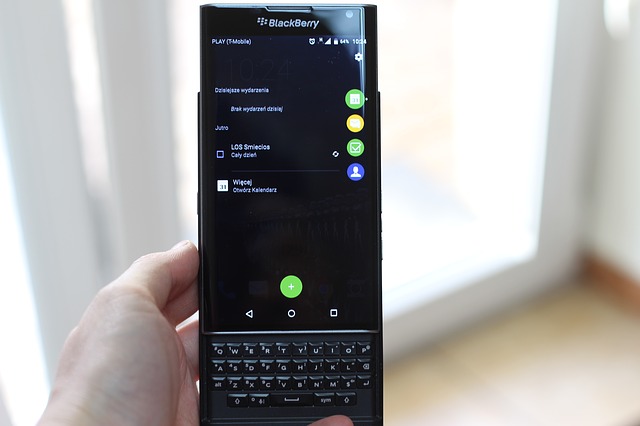 Top & Best Blackberry Review 2022: How to Select Ultimate Buyer’s Guide